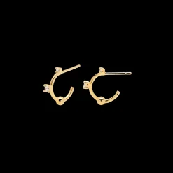 Brincos Kaya Gold-PDPAOLA Best