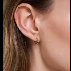 Brincos Ombre-PDPAOLA Flash Sale