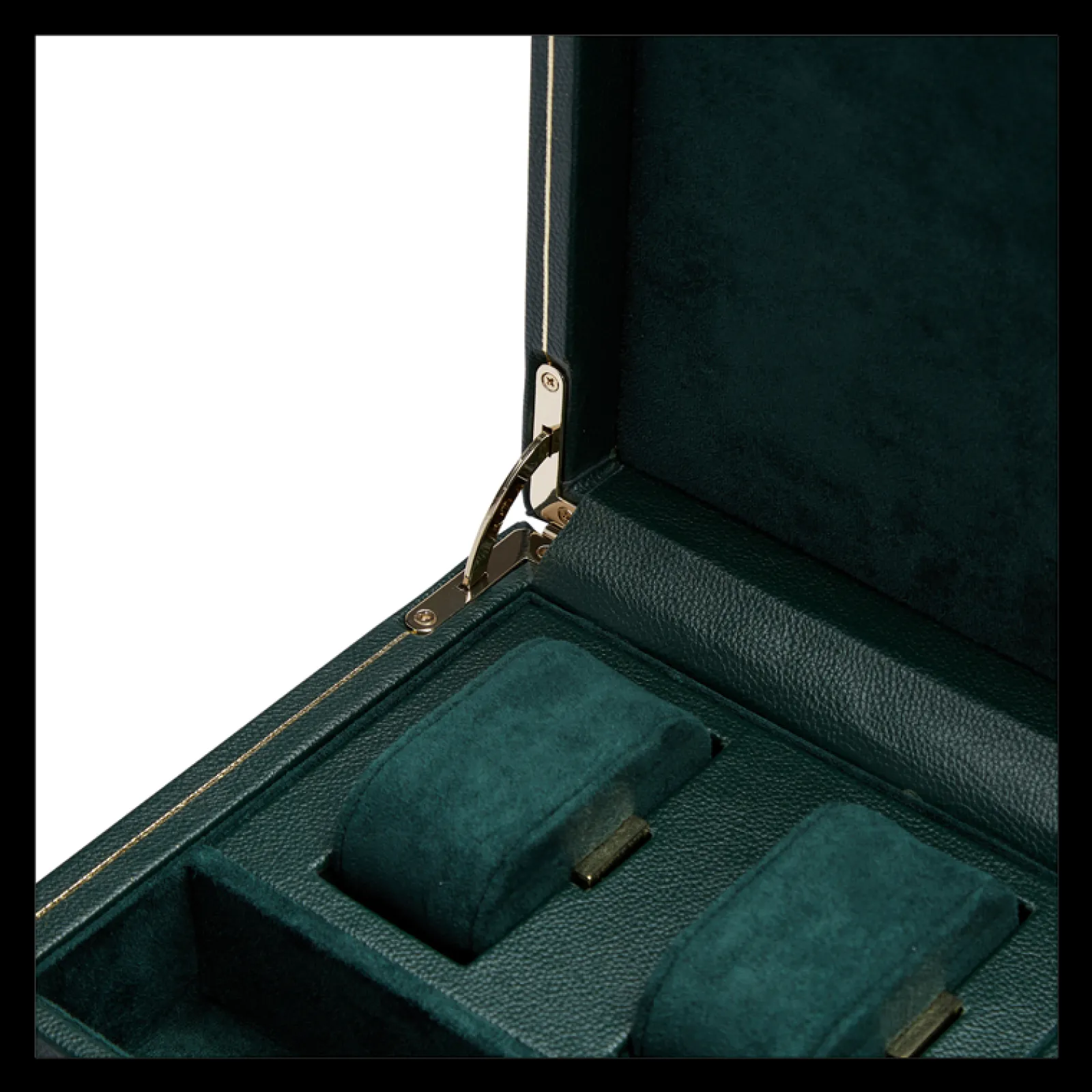 British Racing-Wolf Best Sale