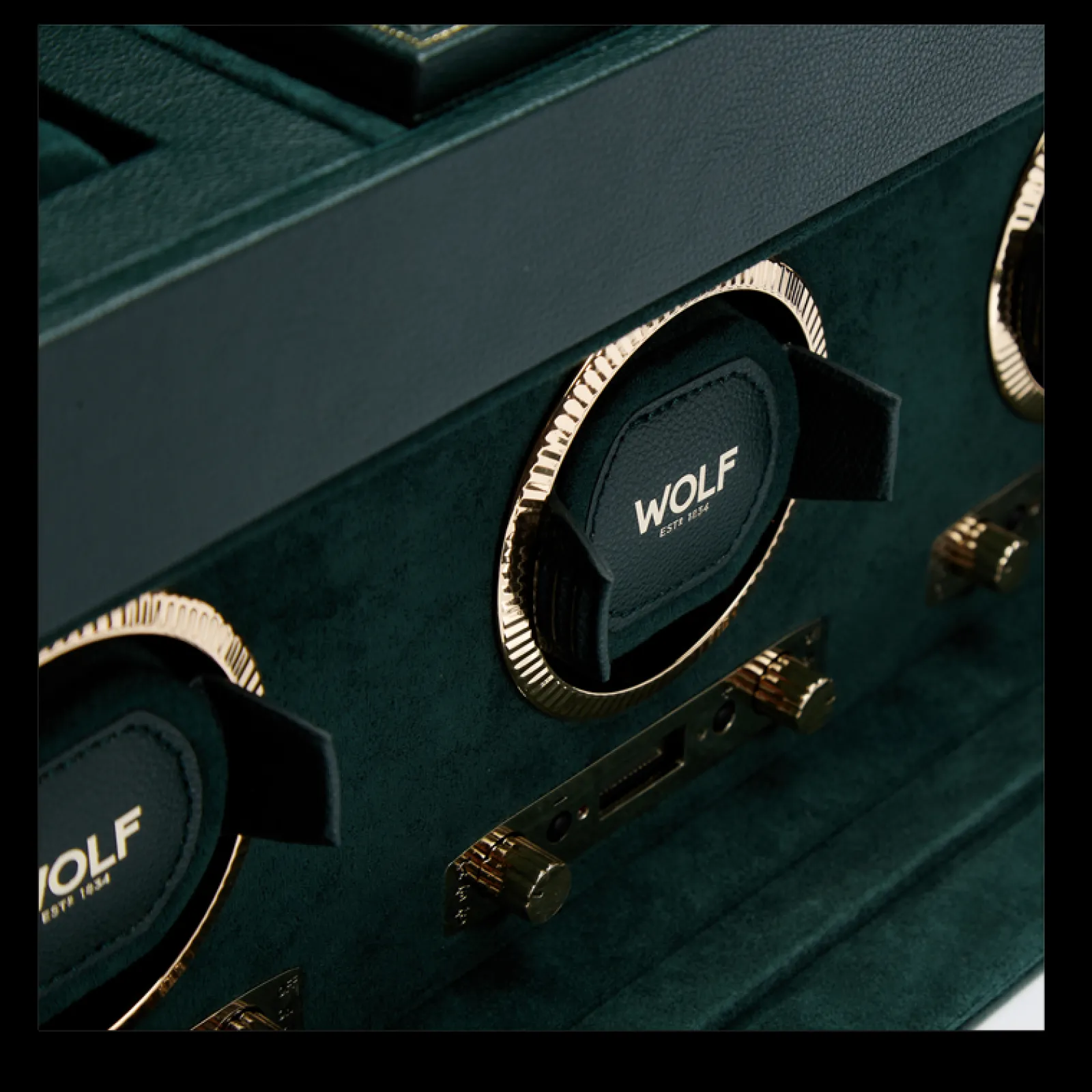 British Racing Triple-Wolf New