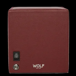 Cub-Wolf Flash Sale