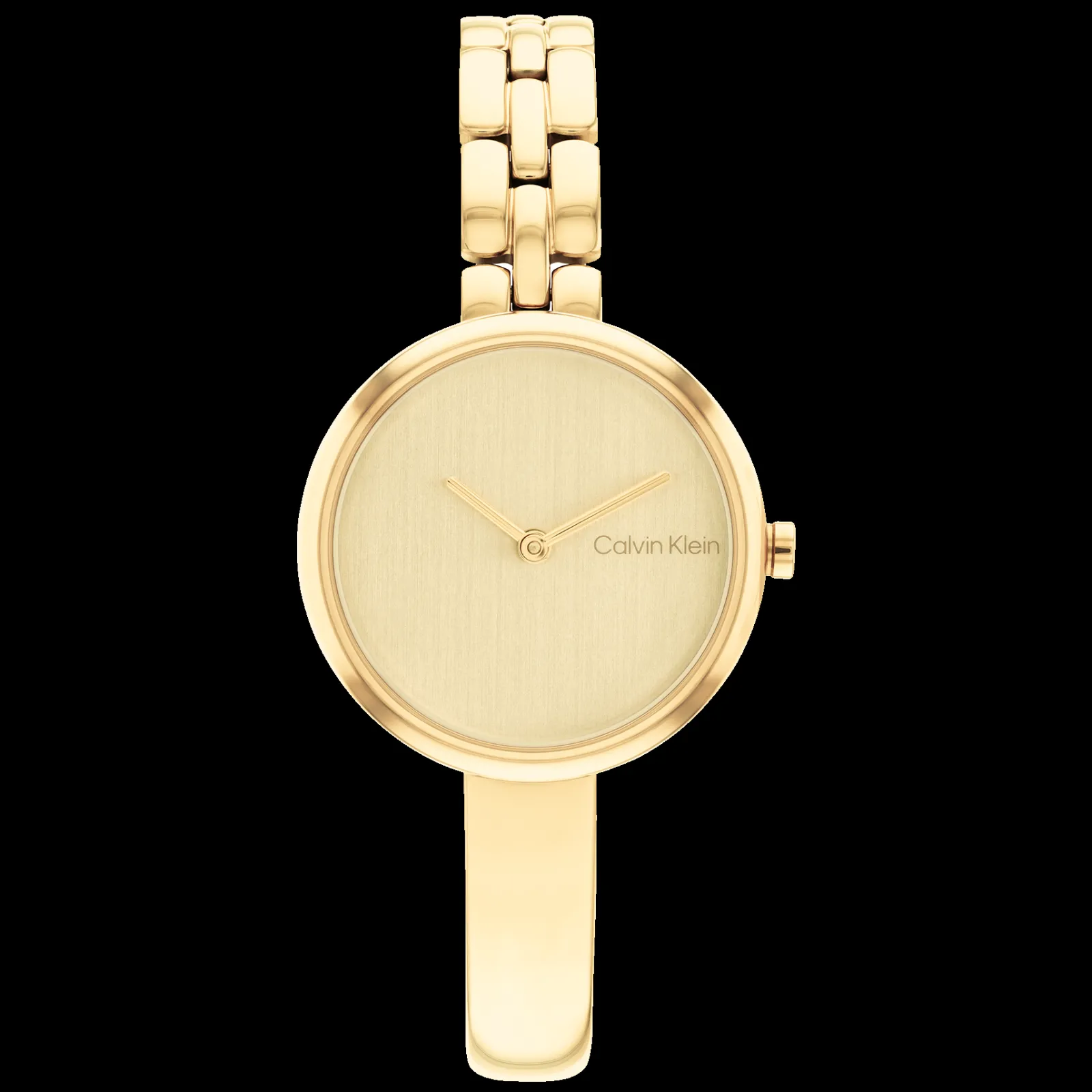 Dourado Com Bangle-Calvin Klein Watches New