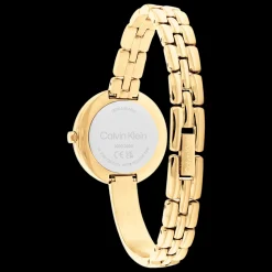 Dourado Com Bangle-Calvin Klein Watches New