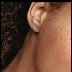 Duplas Estrela Com Zirconias-Pandora New