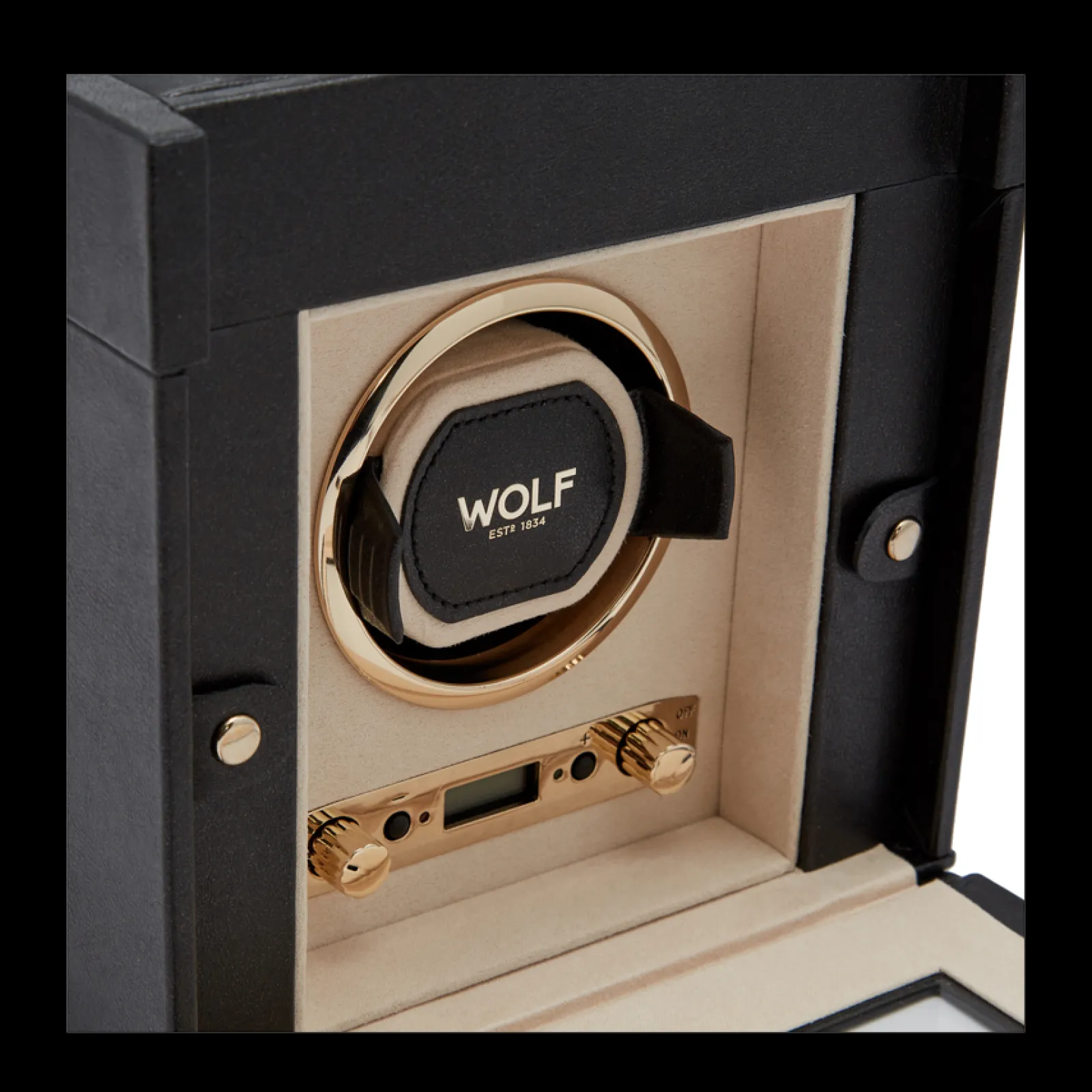 Palermo-Wolf Online