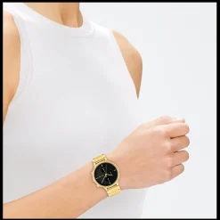Preto E Dourado Em Aco-Calvin Klein Watches Shop