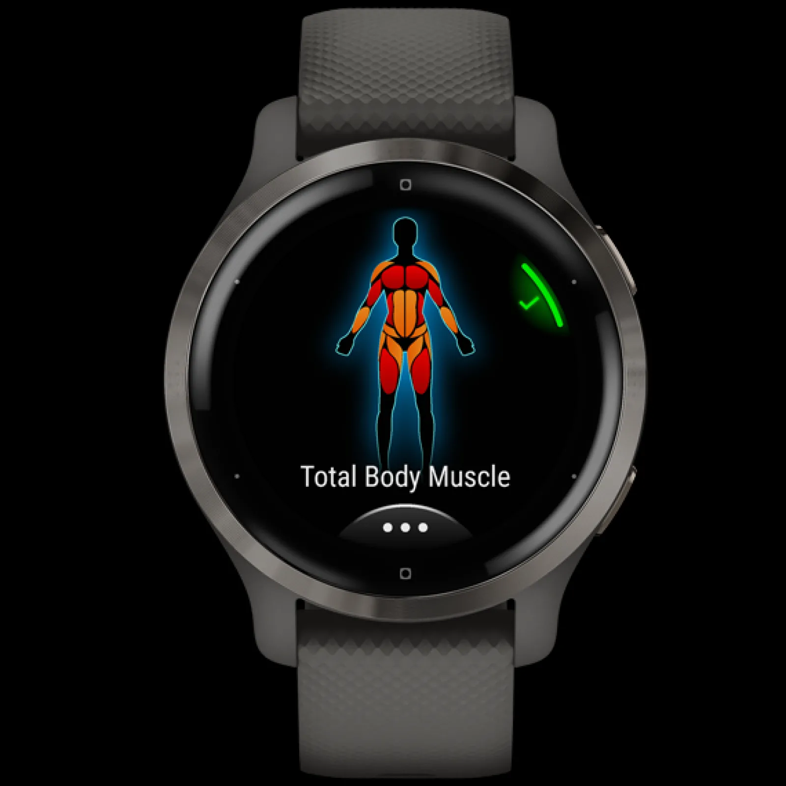 Smartwatch Venu 2S Grey / Slate-Garmin Store
