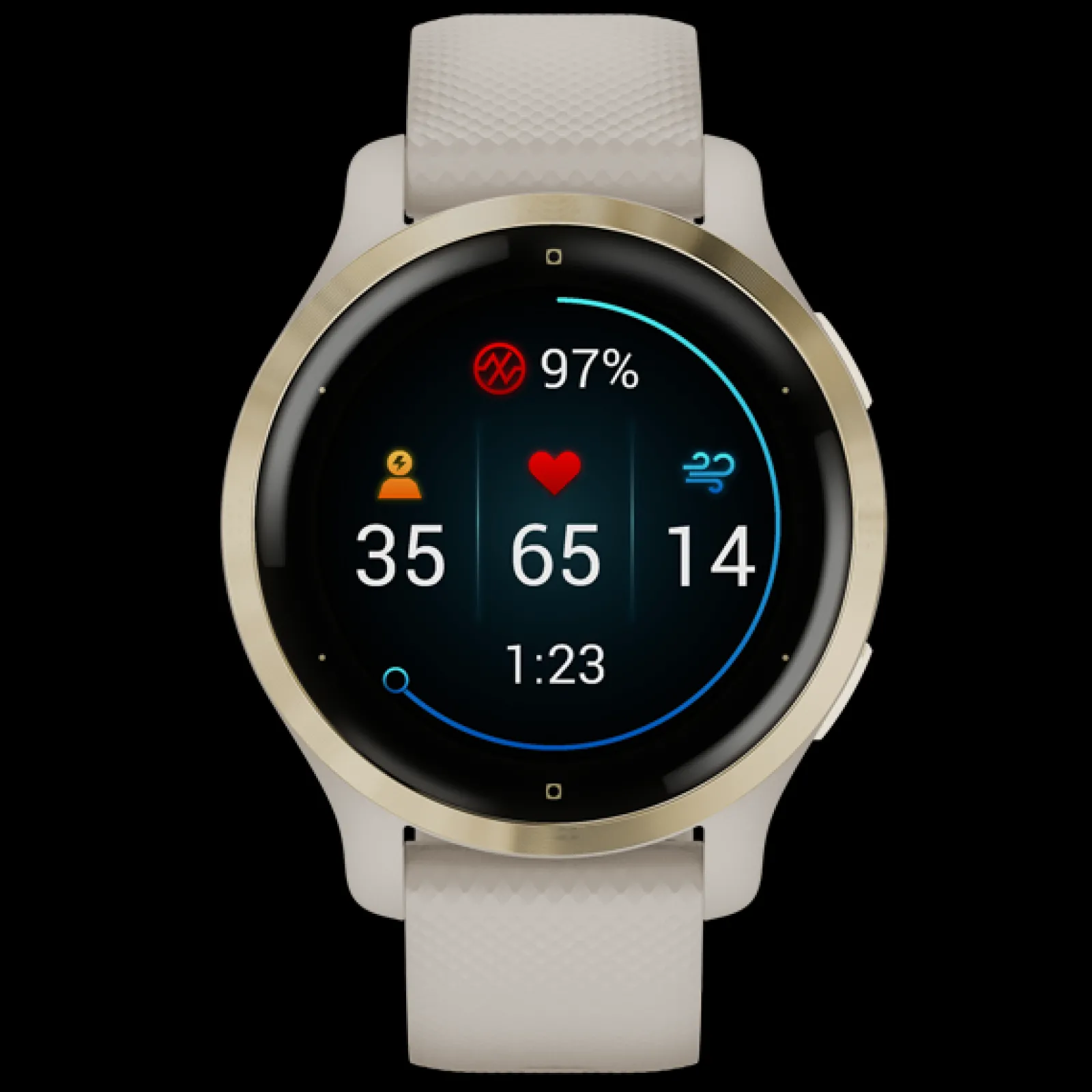Smartwatch Venu 2S Tundra / Champagne-Garmin Clearance